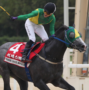 국제 경마대회 ‘코리아컵·코리아스프린트’, 韓·日·홍콩 대격돌