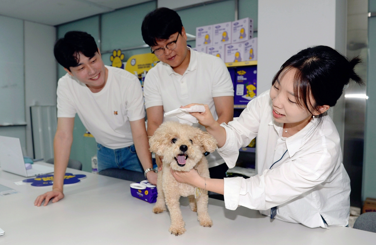 59살 같은 2살 포포몽… ‘깨끗한나라’서 자라는 펫용품 전문가