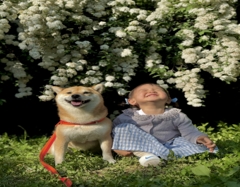 댕냥이, 소, 오리, 앵무새, 청솔모와 교감… ‘동물사랑 사진 공모전’ 수상작 모아보니