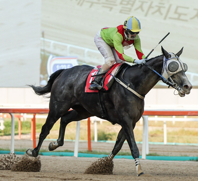 가을여왕 향한 첫 관문…즐거운여정 3연패 도전