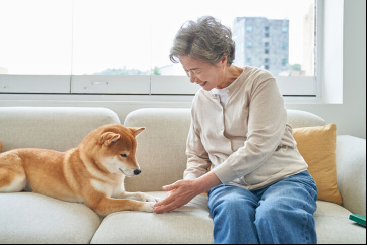 본가서 ‘막내’ 키우는 부모님께… 이번 추석엔 개편리한 ‘펫가전’ 어떠냥