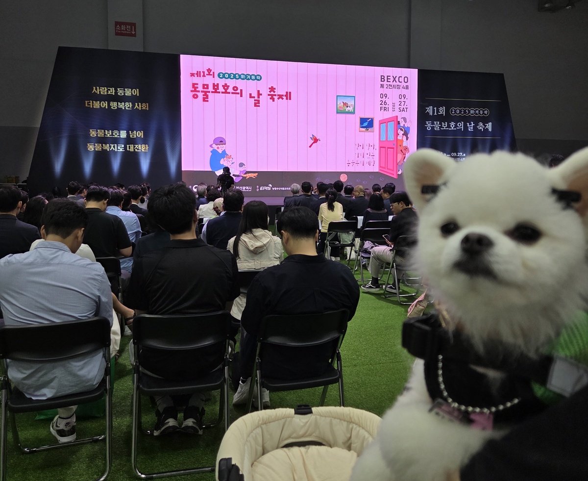 “우리나라도 동물복지 선진국 향해”… 제1회 동물보호의날 축제 가보니