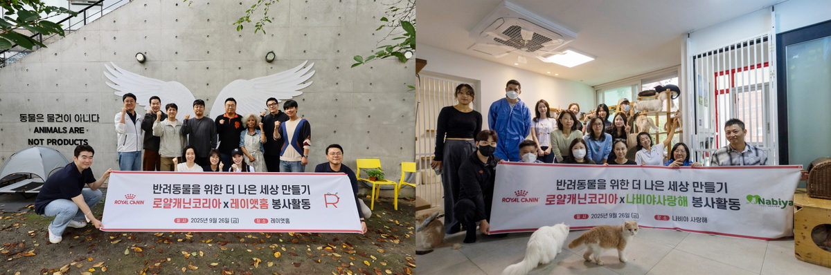 유기묘 보호소 찾은 로얄캐닌… “집사 만나 제2묘생 시작하길”