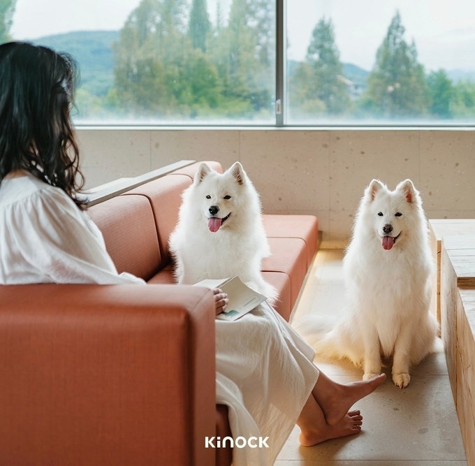 매달 댕댕이 1000마리 방문하는 키녹… ‘펫 관광도시’ 경주의 DOG보적 보물