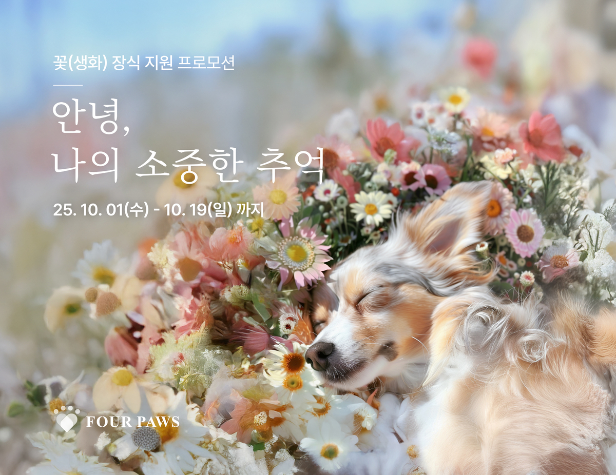 “무지개다리 건너는 너에게 꽃송이를”… 펫장례식장 포포즈, 생화 장식 지원