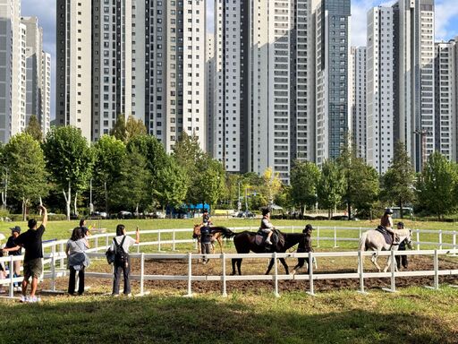 “세종호수공원서 승마 체험…특별한 추억 남기세요”
