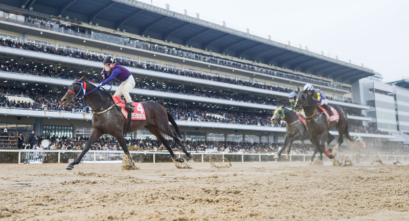 추석 휴장 끝낸 렛츠런파크…경마 빅매치로 ‘후끈’
