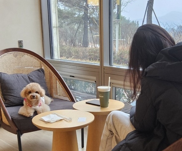 [BS모닝] 반려동물 동반식당 곧 ‘합법’… 명확한 안전·위생대책 ‘과제’