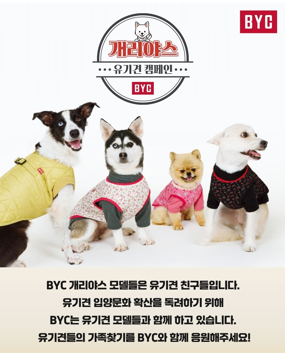 ‘개리야스’ 내복의 계절… 마음도 따스해지는 犬모델