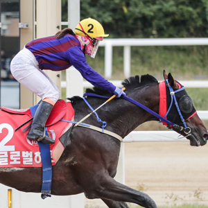 “자존심 회복” 글로벌히트 vs “한 번 더 우승” 석세스백파