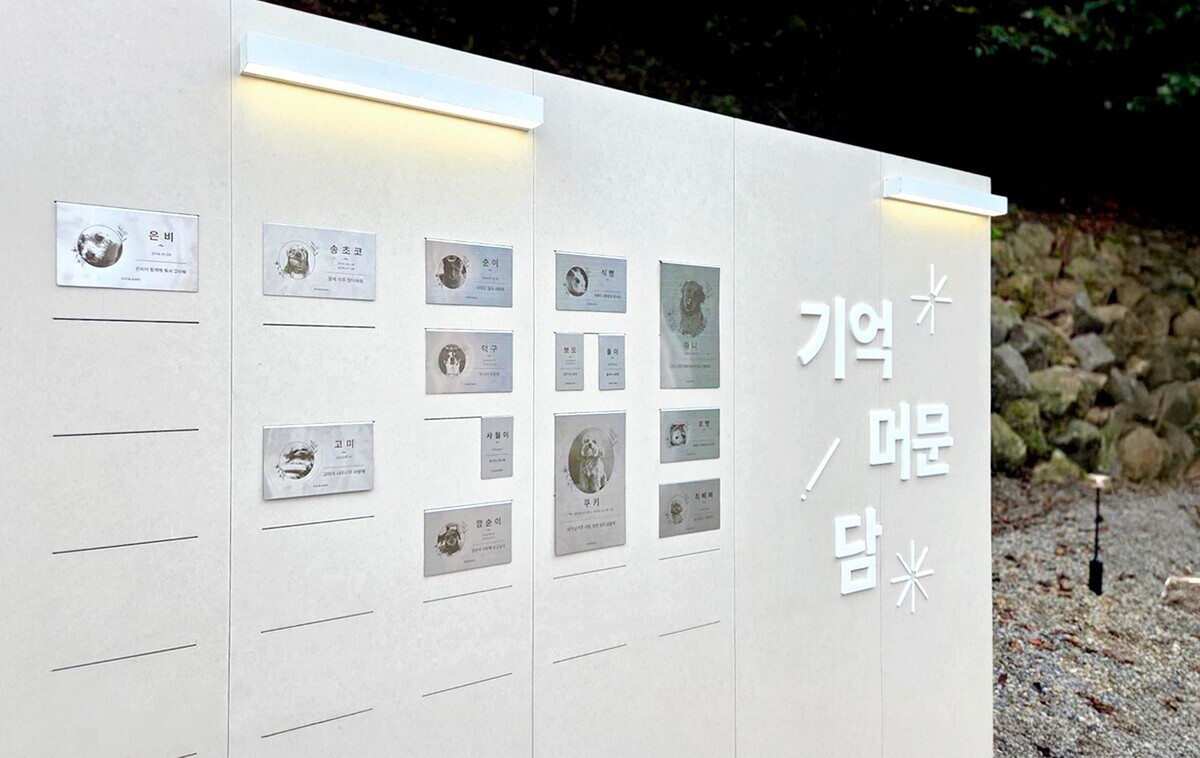 무지개다리로 이어지는 벽… 포포즈 ‘기억 머문 담’ 서비스 도입