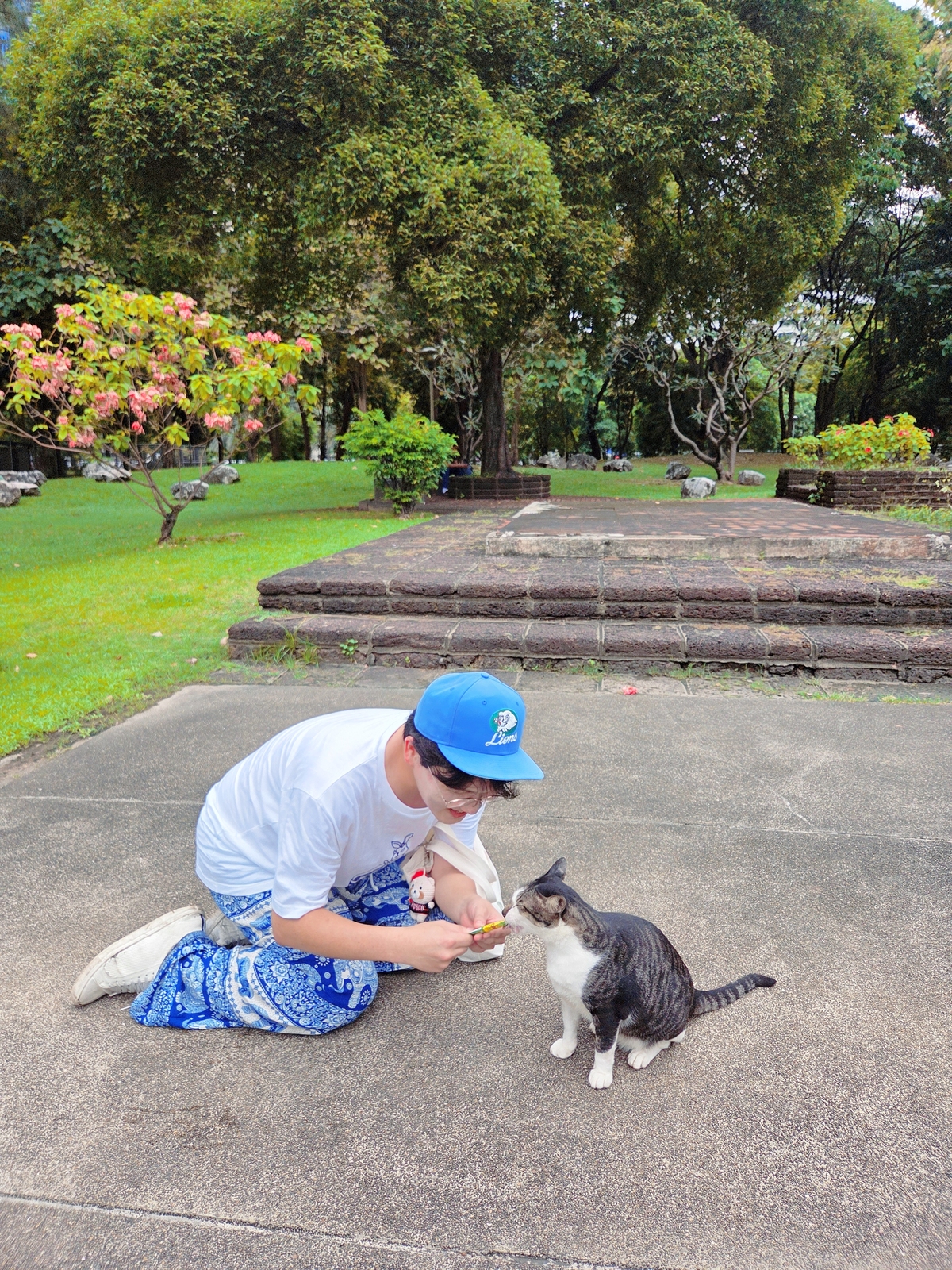 [냥집사 박기자가 간다] 태국을 찾는 또 하나의 이유… 동물, 그리고 펫푸드 쇼핑의 천국