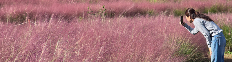 낮엔 꽃, 밤엔 빛…가을 남원이 물들다