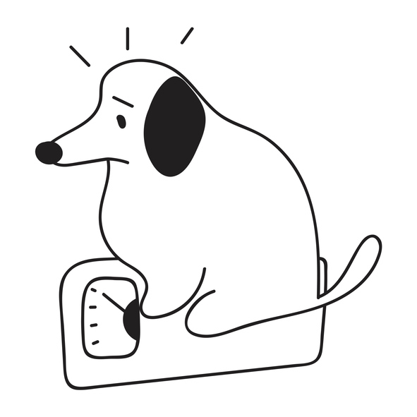 “댕댕이 당뇨병 정복될까”… 대웅제약, ‘엔블로펫’ 허가 신청