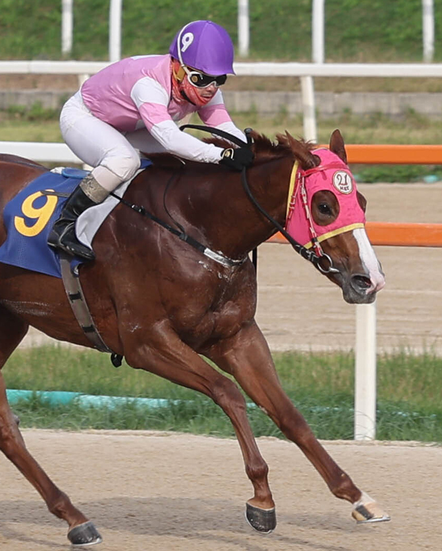 23일 ‘브리더스컵 데이’…최강 암말·슈퍼 루키 가린다