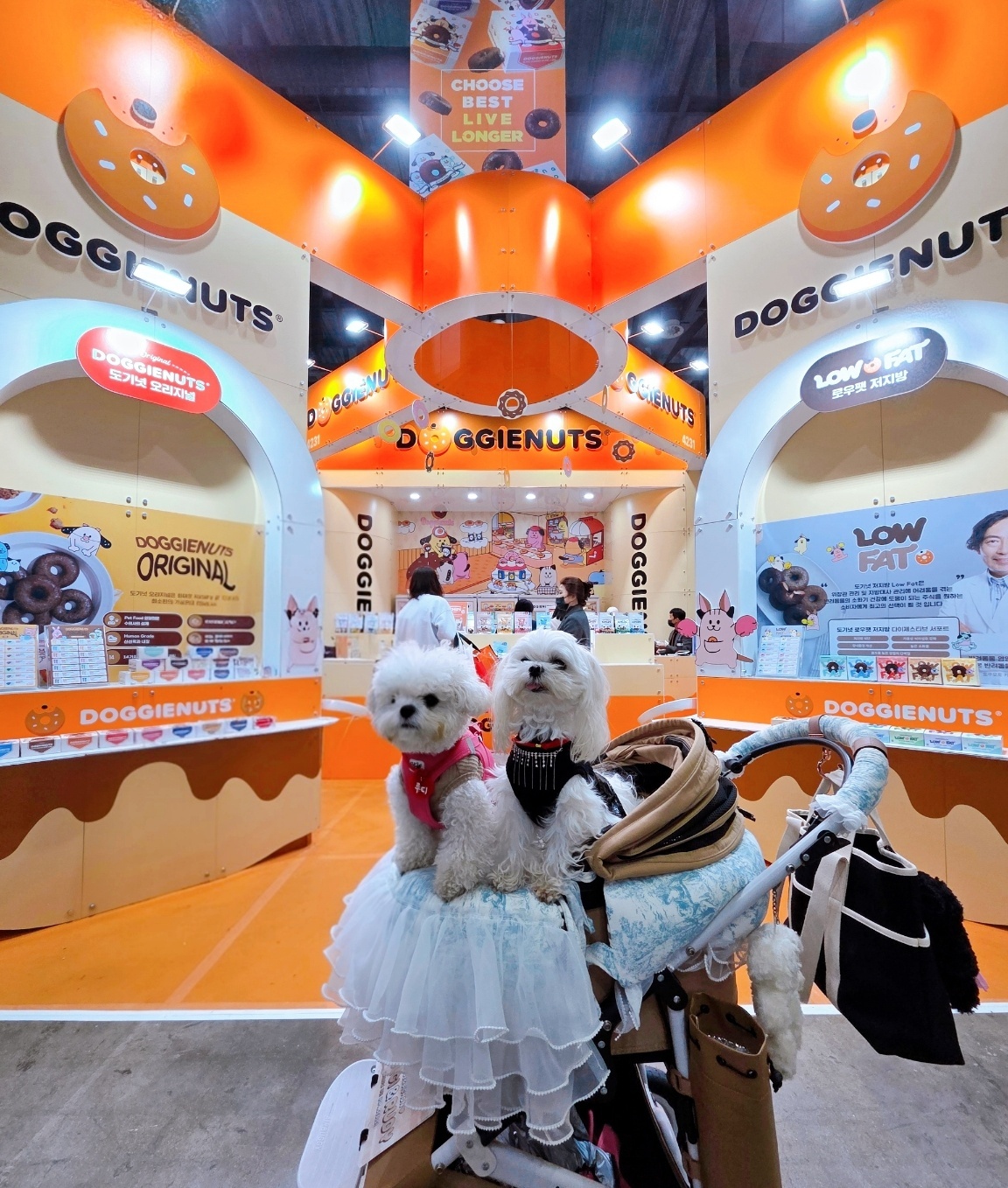 [냥집사 박기자가 간다] 펫페어에 ‘도넛 가게’ 떴다?… 개성만점 부스 ‘눈길’