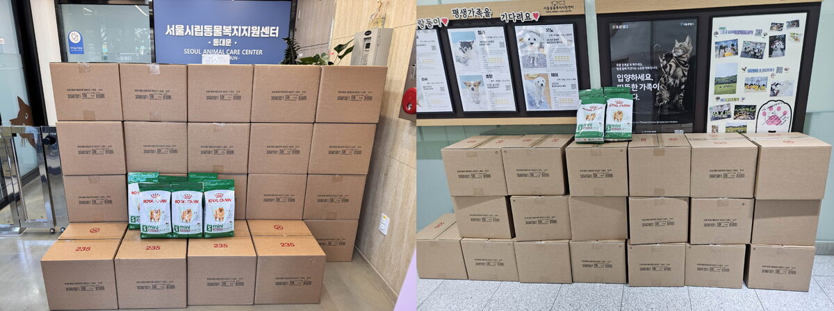로얄캐닌코리아, 구조견 206마리 위해 사료 400kg ‘긴급지원’