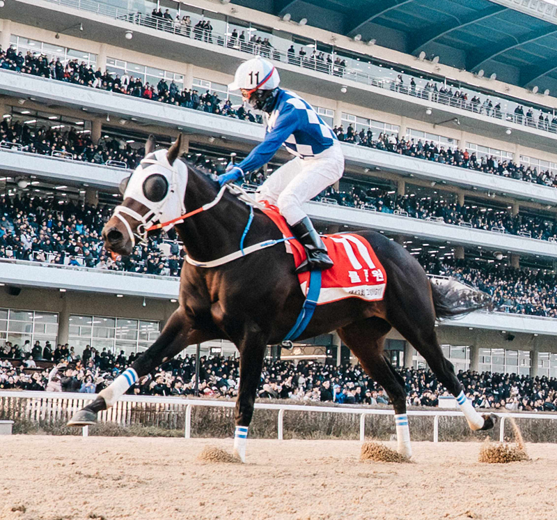 대상경주 무관 ‘클린원’, 그랑프리 정상 등극 대이변
