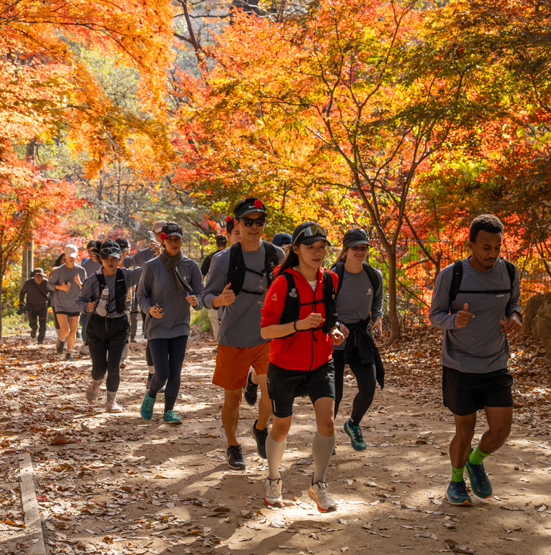 외국인 관광객 K-등산 즐긴다