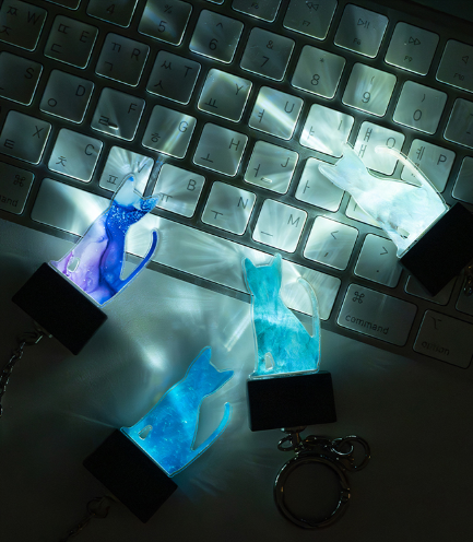 길냥이 돕는 ‘고양이 키링’ 달고… 통영 용호도 ‘고양이섬’ 놀러가볼까