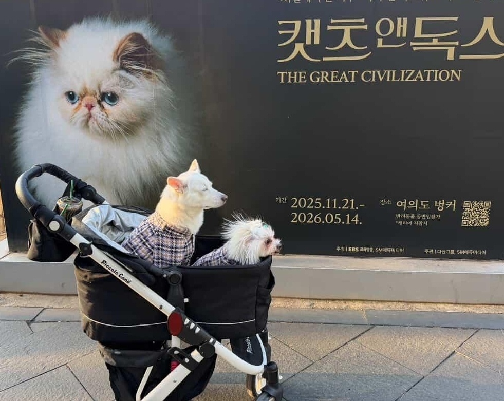 [냥집사 박기자가 간다] 댕냥위키 같은 사진전 ‘캣츠앤독스’… 반려견과 함께 감상해요
