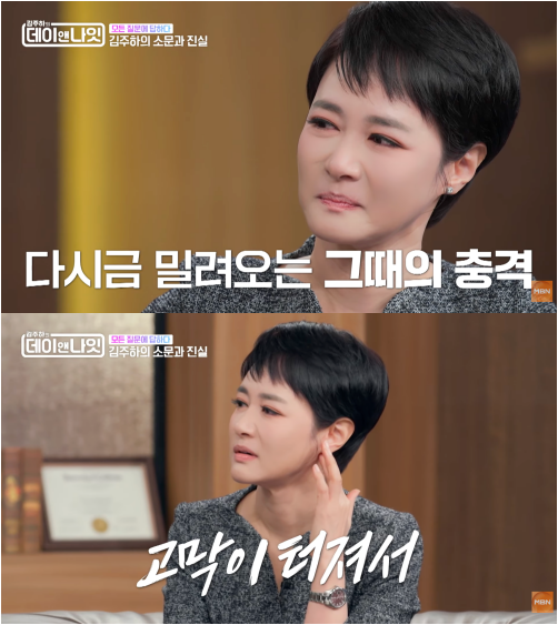 김주하, 전 남편 폭력 고백…“고막 손상·뇌출혈까지”