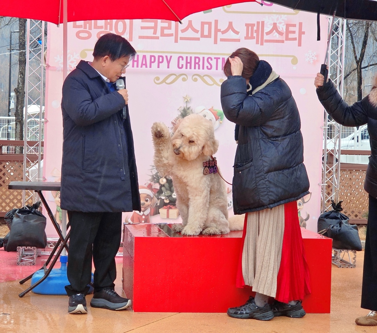 [냥집사 박기자가 간다] 펫세권 마포구… ‘개 특별한’ 홍보대사 위촉식
