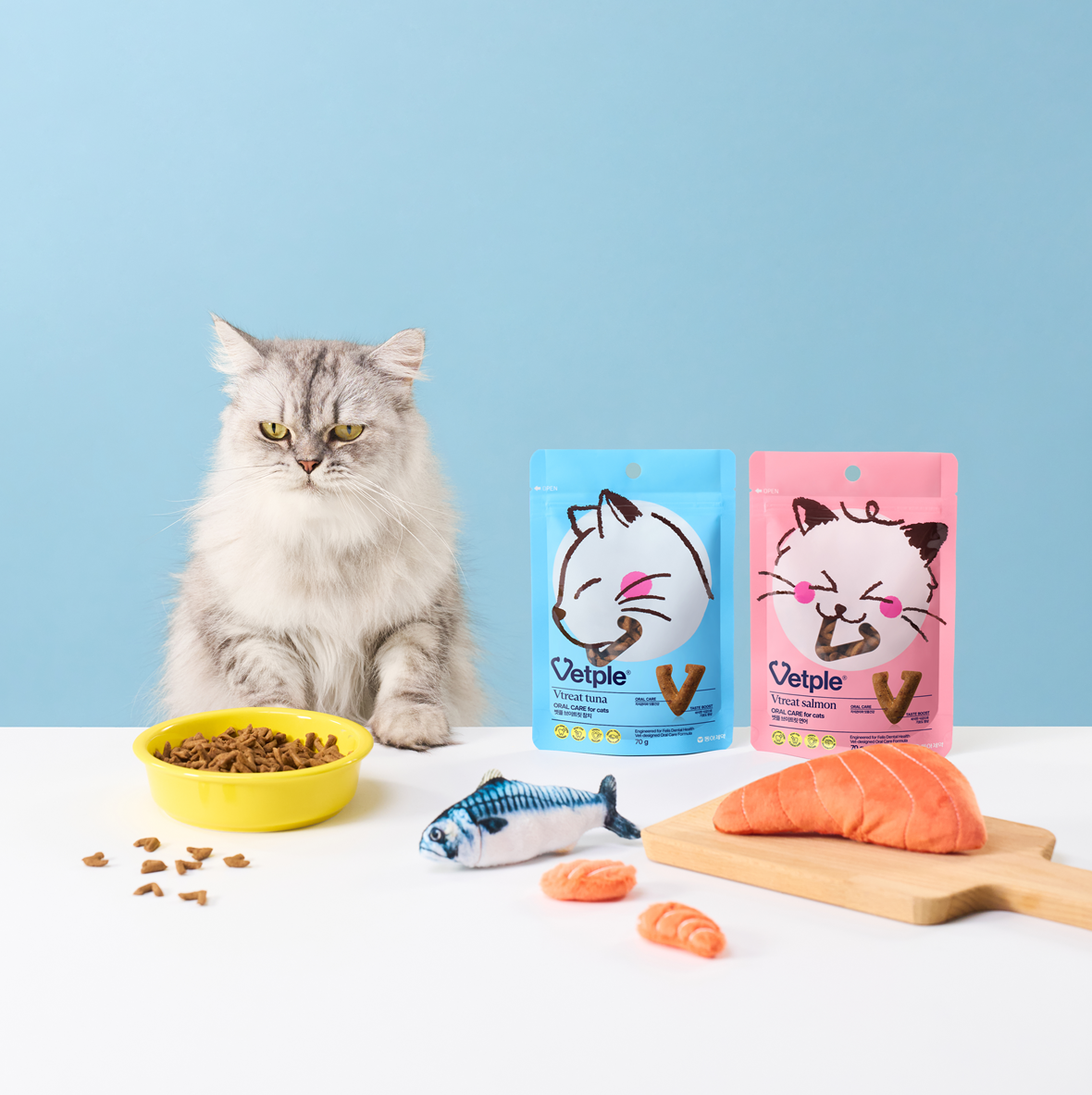 “반려묘 양치 힘겨운 집사님 주목”… 동아제약 ‘벳플 브이트릿 2종’ 출시