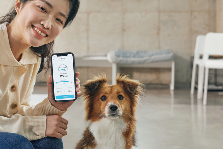 [CES 2026] K-펫테크도 혁신상 러시… “댕냥이 급식기·체온계·진단기기도 스마트하게”