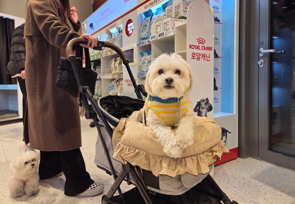 [냥집사 박기자가 간다] 60종 펫사료 한곳에… 로얄캐닌 브랜드숍 ‘눈길’