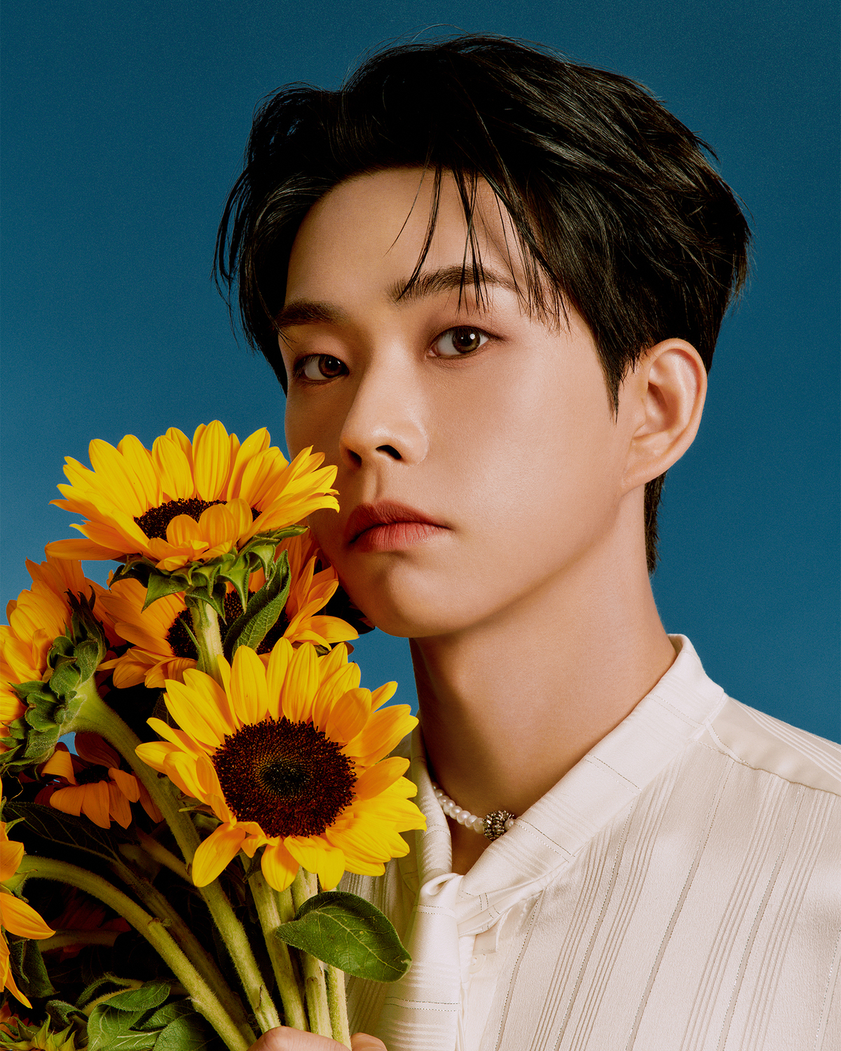 루시 최상엽, OST로만 7연타 활약…OST계 접수 완료