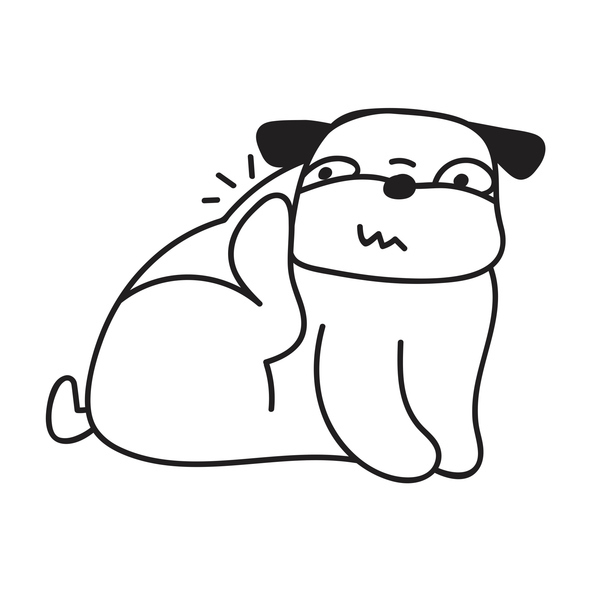 대웅제약 개발 ‘반려견 아토피 신약’ 초읽기… 플로디시티닙 허가 신청