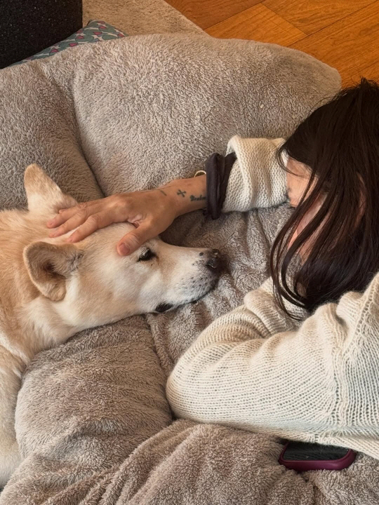 이효리♥이상순, 15년 함께한 반려견 구아나와 이별…“한결같이 지켜준 가족”