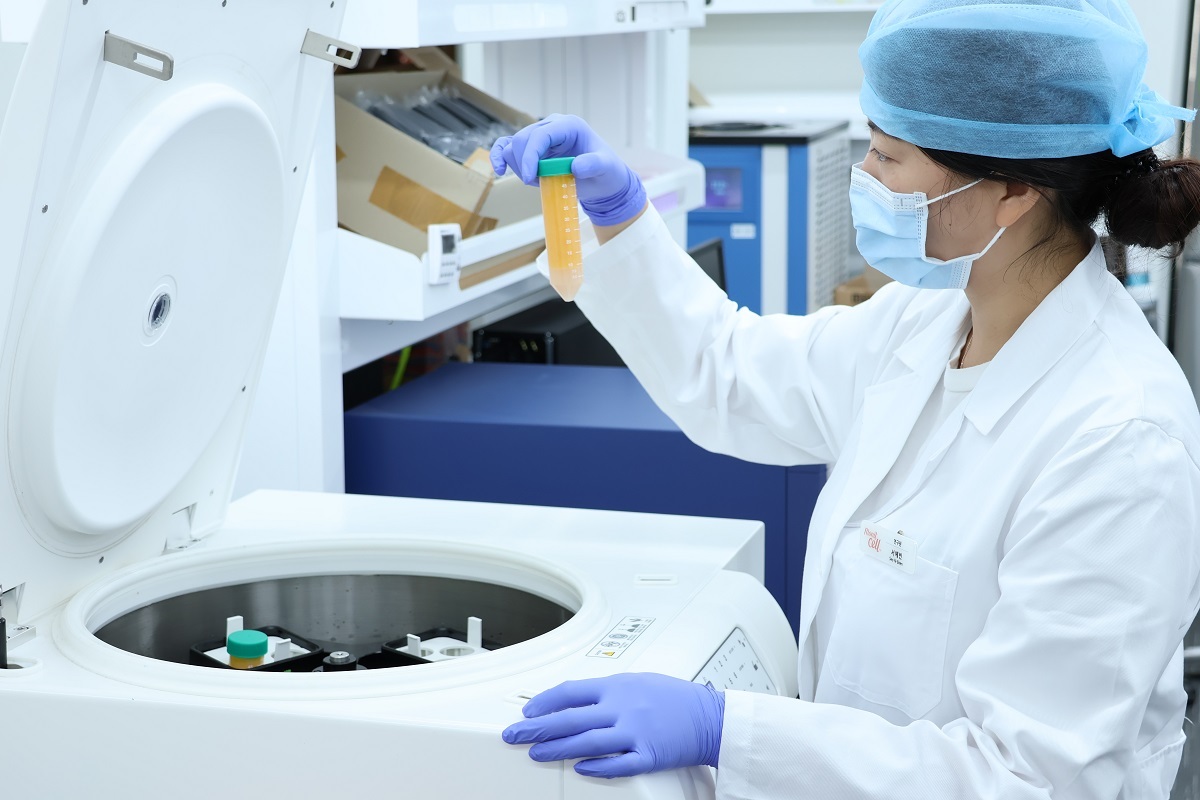 "해외 원정 치료 줄인다" 칼 빼든 정부… 지방줄기세포 주목?