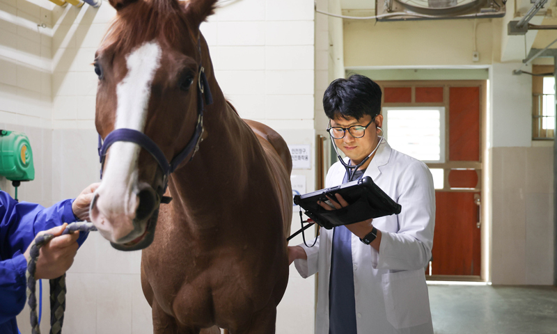 AI로 말 보행 분석..."부상 위험 미리 막는다" - 뉴스 썸네일 이미지