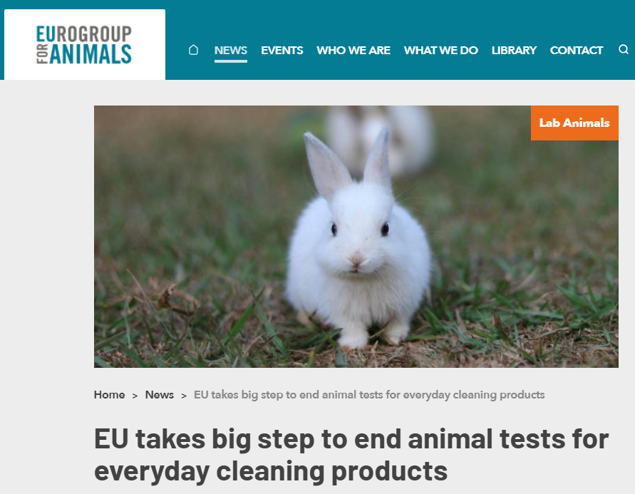 생활화학제품 '동물실험 금지' 결정한 유럽... 한국도 '오가노이드'... - 뉴스 썸네일 이미지