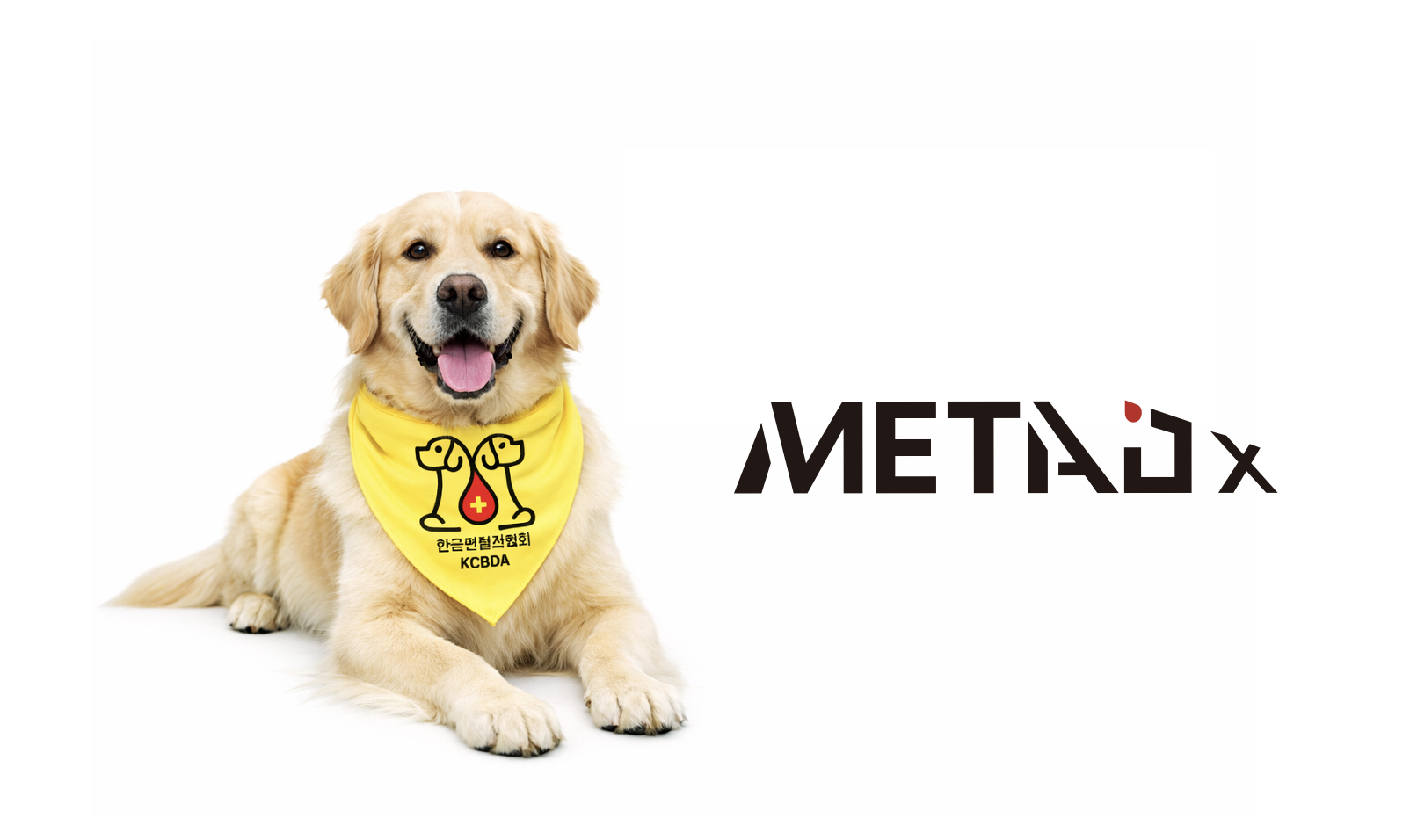"헌혈 반려견 건강 책임진다"... 메타디엑스, 한국헌혈견협회 '맞손... - 뉴스 썸네일 이미지
