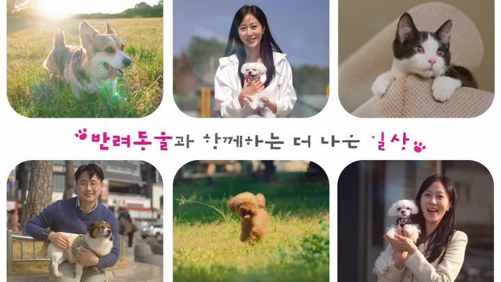 "반려동물 입양부터 장례까지... 펫 친화도시 부산입니데이" - 뉴스 썸네일 이미지