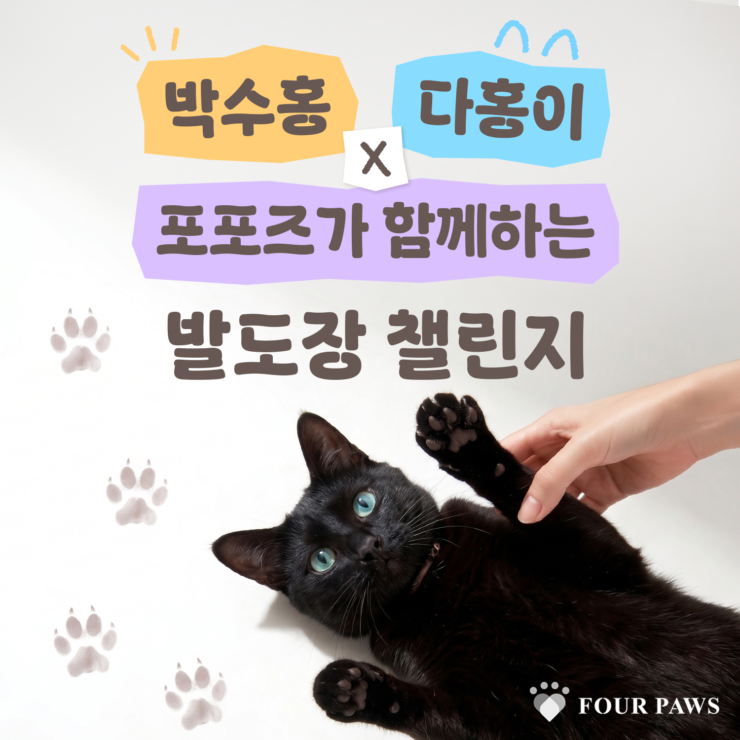 “수홍♡다홍처럼 우리도”… 전국 ‘댕냥이 발자국’ 자랑대회(feat.포포즈)