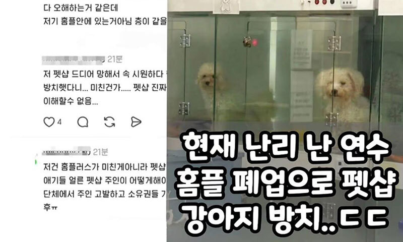 [단독] '임시휴업' 홈플 입점 펫숍서 강아지 방치